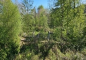 Non-developable land for sale on España, Santa María de Cayón, ref: TR172171 photo