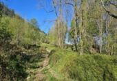 Non-developable land for sale on España, Santa María de Cayón, ref: TR172171 photo
