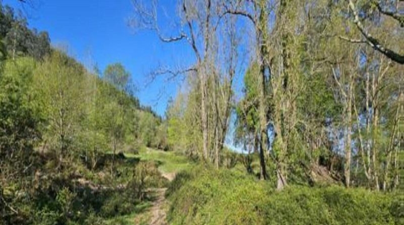 Cantabria - Santa María de Cayón - 35000m2