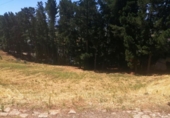 Parcel·la urbanitzable en venda a la España, Ponferrada, ref.: TR129864 foto
