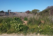 Terreny no urbanitzable en venda a la España, El Puerto de Santa María, ref.: TR118065 foto