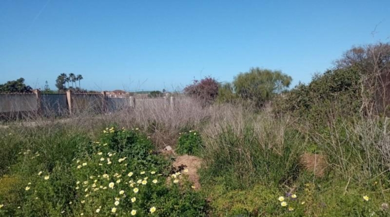 Cádiz - El Puerto de Santa María - 900m2