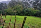 Rural estate for sale on España, San Miguel de Luena, ref: TR291581 photo