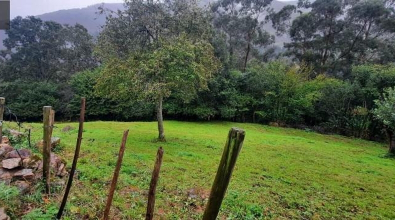 Cantabria - Carrascal de San Miguel - 11384m2