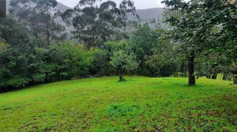 Cantabria - Carrascal de San Miguel - 11384m2