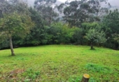 Rural estate for sale on España, San Miguel de Luena, ref: TR291581 photo