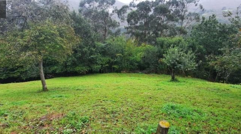 Cantabria - Carrascal de San Miguel - 11384m2