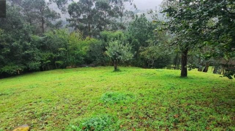 Cantabria - Carrascal de San Miguel - 11384m2