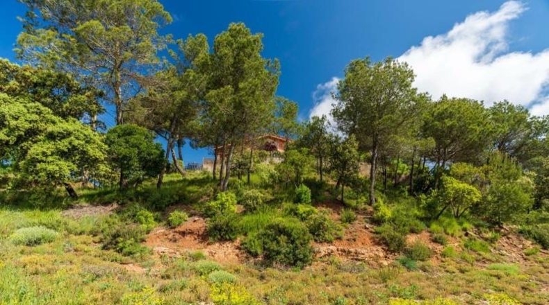 Barcelona - Кастельноу де Бажес - 955m2