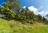 Parcel·la urbanitzable en venda a la España, Castellnou de Bages, ref.: TR280984 foto