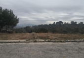 Suelo urbano en venta en la España, Alberic, ref: TR318580 foto