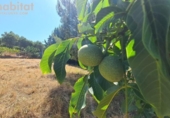 Sòl urbà en venda a la España, el Bruc, ref.: TR310966 foto