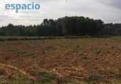 Detached villa with land for sale on España, Arganza, ref: TR301263 photo