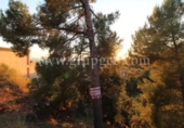 Non-developable land for sale on España, Lloret de Mar, ref: TR113258 photo