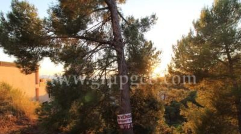Gerona - Lloret de Mar - 825m2