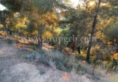 Non-developable land for sale on España, Lloret de Mar, ref: TR113258 photo