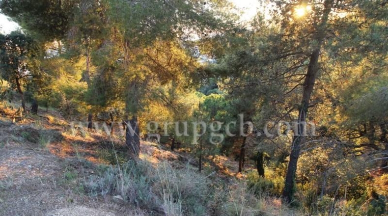 Gerona - Lloret de Mar - 825m2