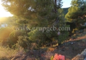 Non-developable land for sale on España, Lloret de Mar, ref: TR113258 photo