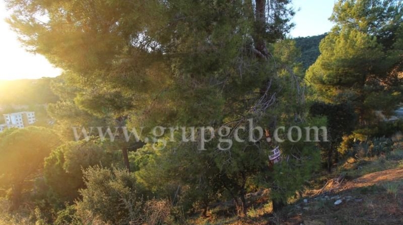 Gerona - Lloret de Mar - 825m2