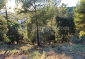 Non-developable land for sale on España, Lloret de Mar, ref: TR113258 photo