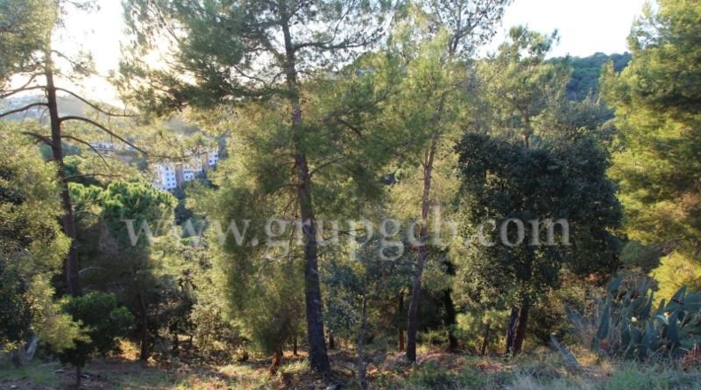 Gerona - Lloret de Mar - 825m2