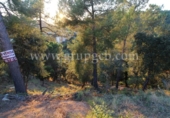 Non-developable land for sale on España, Lloret de Mar, ref: TR113258 photo