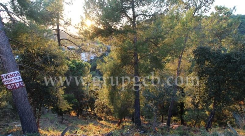 Gerona - Lloret de Mar - 825m2