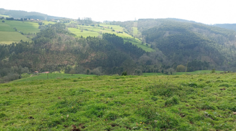Астурия - Cudillero - 1779m2