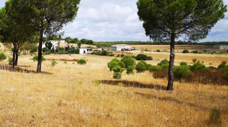Huelva - Aljaraque - 3000m2