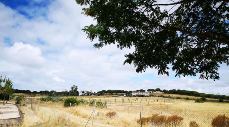 Huelva - Aljaraque - 3000m2