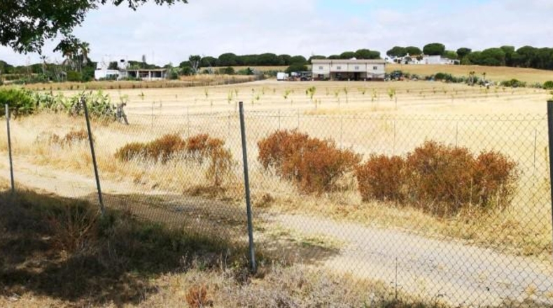 Huelva - Aljaraque - 3000m2