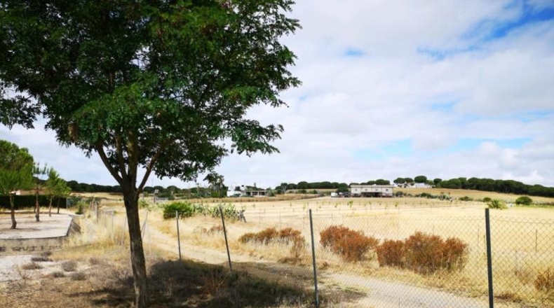 Huelva - Aljaraque - 3000m2
