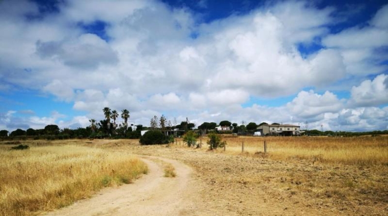 Huelva - Aljaraque - 3000m2