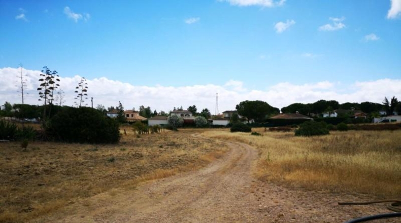 Huelva - Aljaraque - 3000m2