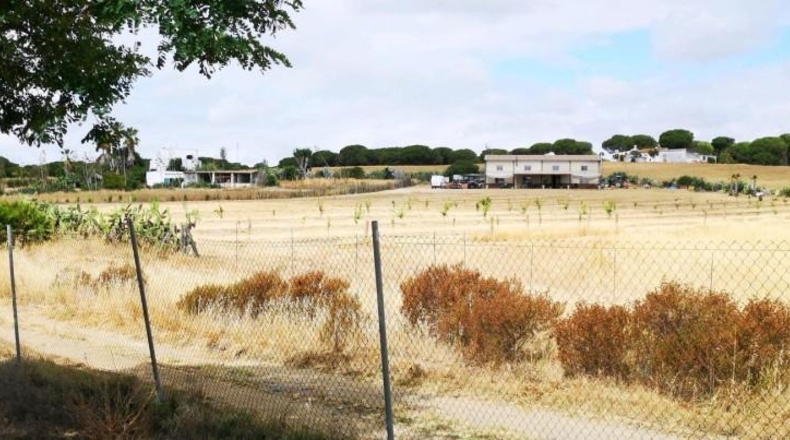 Huelva - Aljaraque - 3000m2