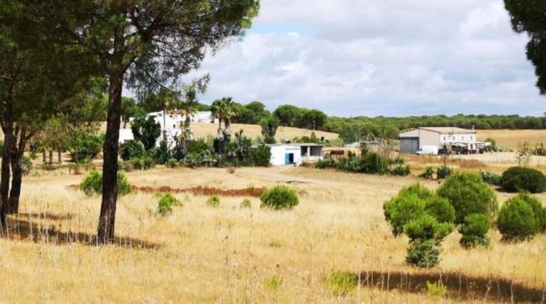 Huelva - Aljaraque - 3000m2