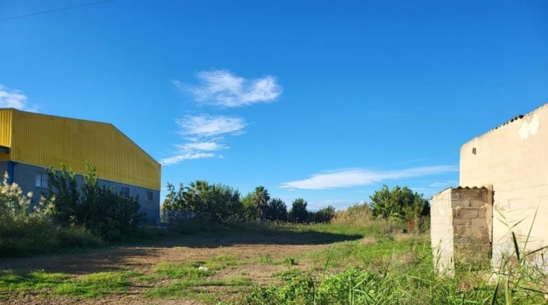 Murcia - Murcia - 2791m2