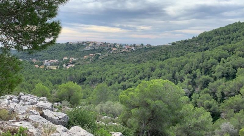 Barcelona - la Gornal - 704m2