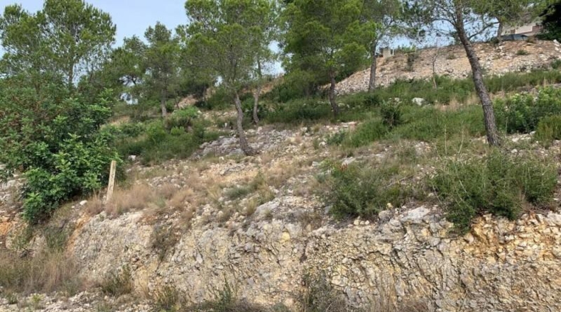 Barcelona - la Gornal - 704m2