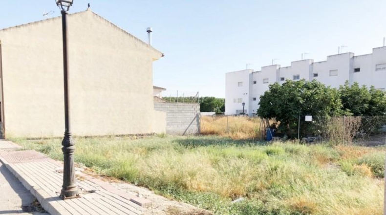 Granada - Fuente Vaqueros - 345m2