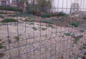 Terreny no urbanitzable en venda a la España, Monòver, ref.: TR122112 foto
