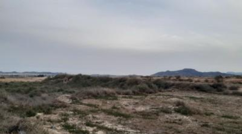 Alicante - Novelda - 10000m2