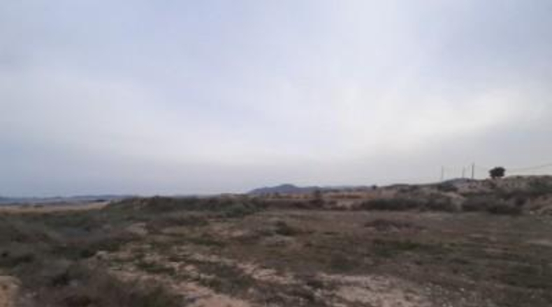 Alicante - Novelda - 10000m2