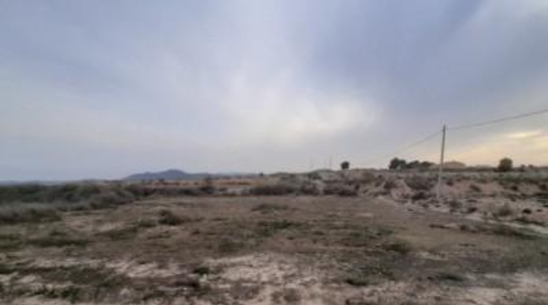 Alicante - Novelda - 10000m2