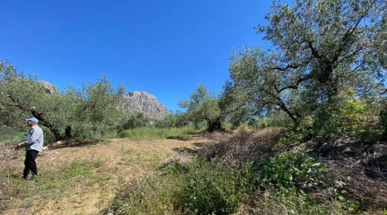 Malaga - Riogordo - 11000m2