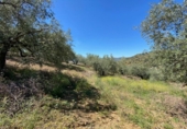 Земля на продажу у города Riogordo Фото