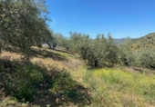 Земля на продажу у города Riogordo Фото