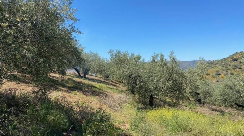 Malaga - Riogordo - 11000m2
