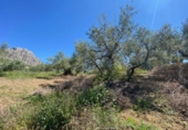 Земля на продажу у города Riogordo Фото