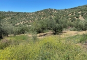 Земля на продажу у города Riogordo Фото
